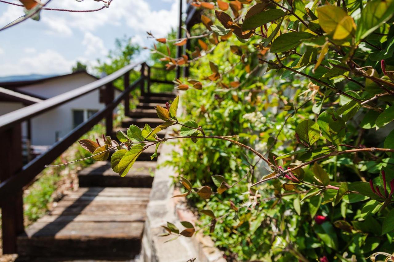 Apartmán Aranyos Hill Nagymaros Exteriér fotografie